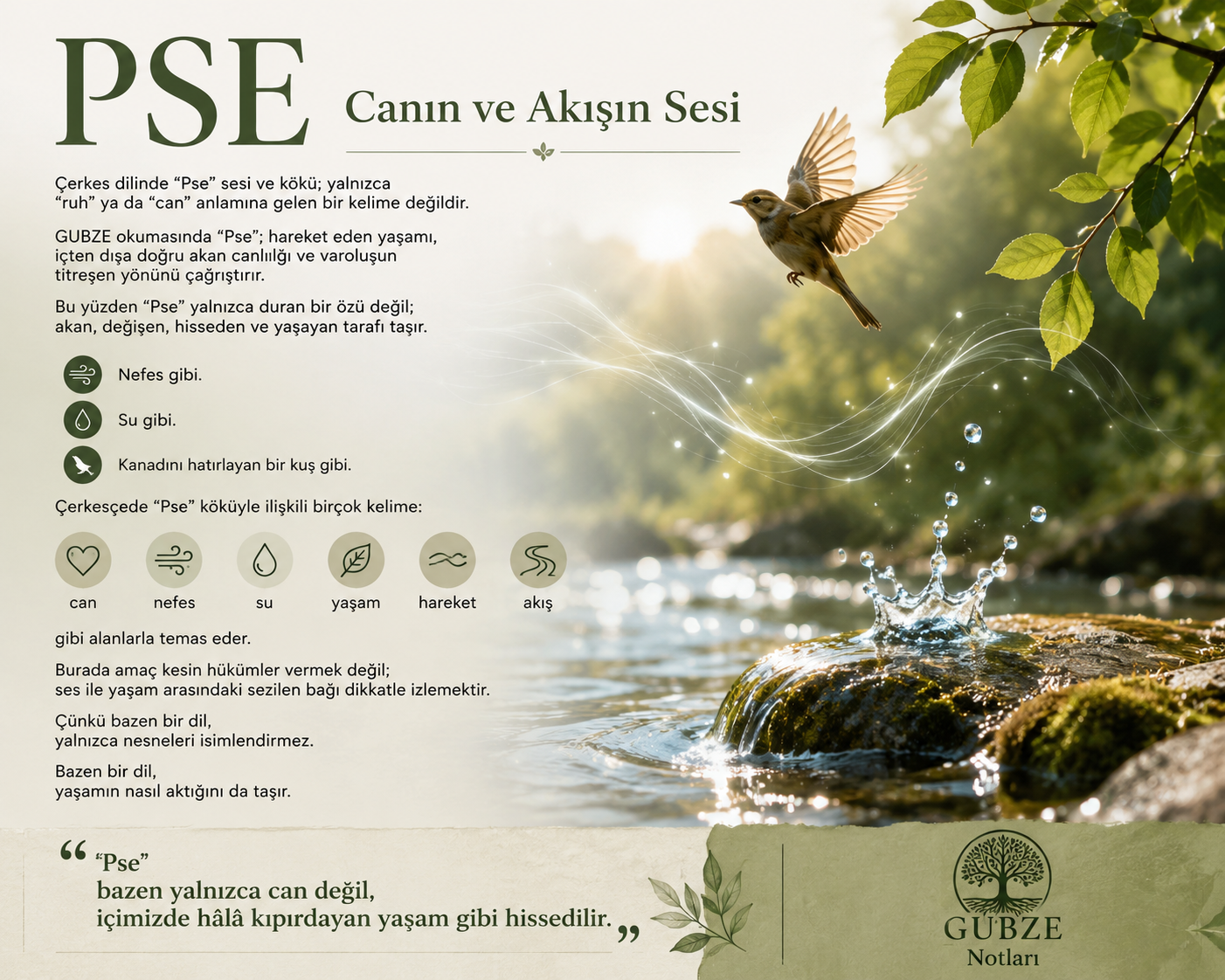 Ses ve Varlık Notları/ PSE— Canın ve Akışın Sesi